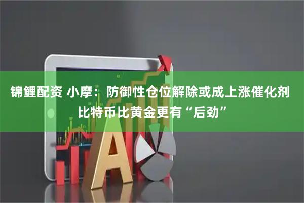 锦鲤配资 小摩：防御性仓位解除或成上涨催化剂 比特币比黄金更有“后劲”