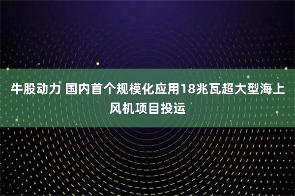 牛股动力 国内首个规模化应用18兆瓦超大型海上风机项目投运